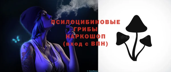 эйфоретик Алексеевка