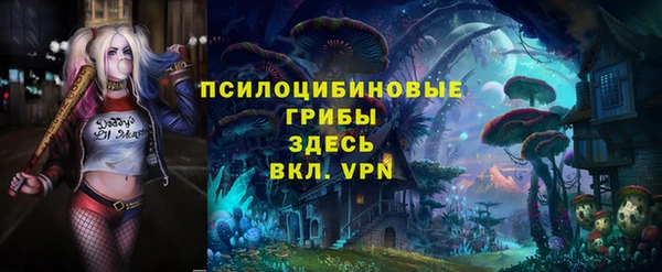 мет Алексин